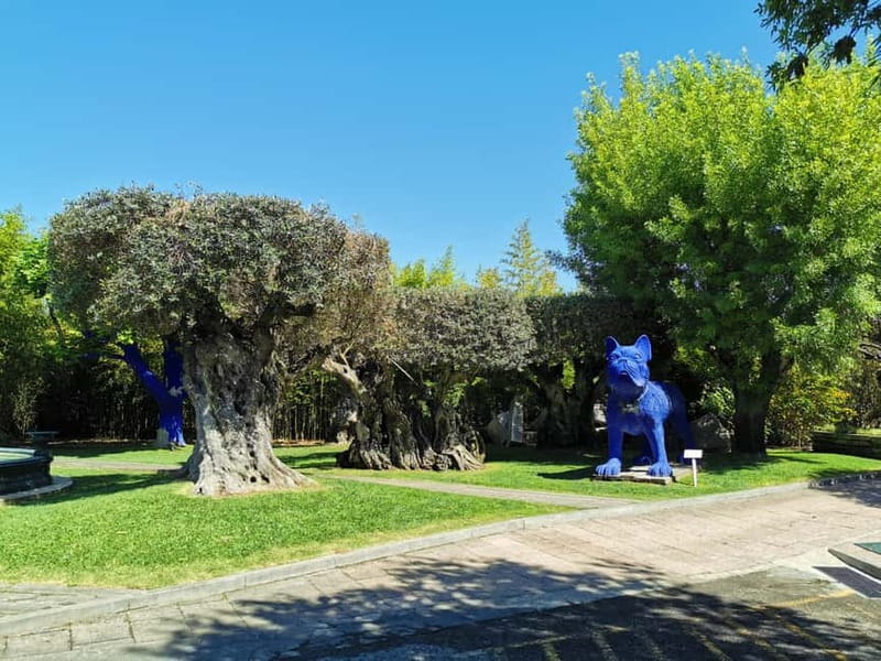 Lisbon to Wine Tasting Setubal, Two Cellars, Half Day Tour - Key points to know before booking