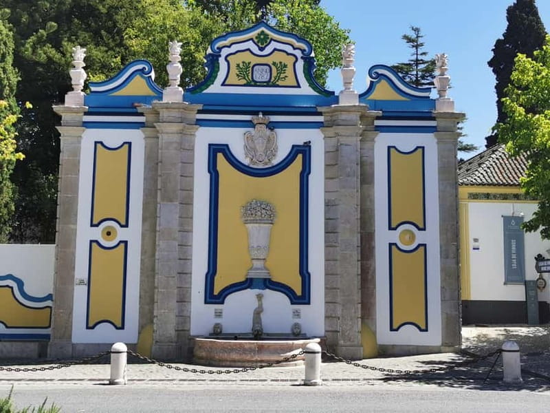 Lisbon to Wine Tasting Setubal, Two Cellars, Half Day Tour - Who will enjoy this Setúbal outing