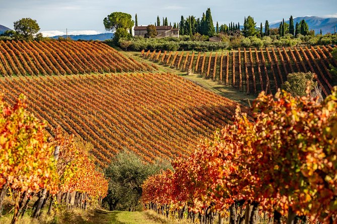 Livorno Shore Excursion: Chianti and Tuscany Countryside Private Wine Tour - A Private Tour That Depends on the Driver