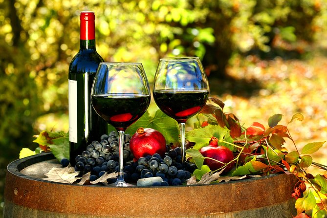 Livorno Shore Excursion: Chianti and Tuscany Countryside Private Wine Tour - Who Should Book This Chianti Excursion?