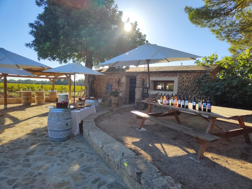 Llucmajor: Bodegas Bordoy Wine Tour - Key points at a glance
