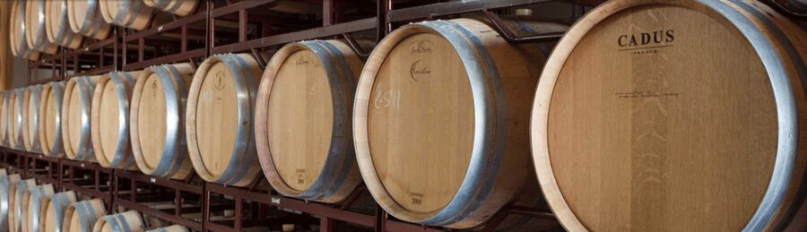 Llucmajor: Bodegas Bordoy Wine Tour - Inside the production room and barrel room