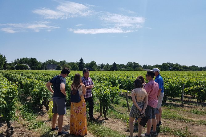 Loire Valley Half Day Wine Tour from Tours : 2 local wineries - Two Loire wine regions in one short afternoon