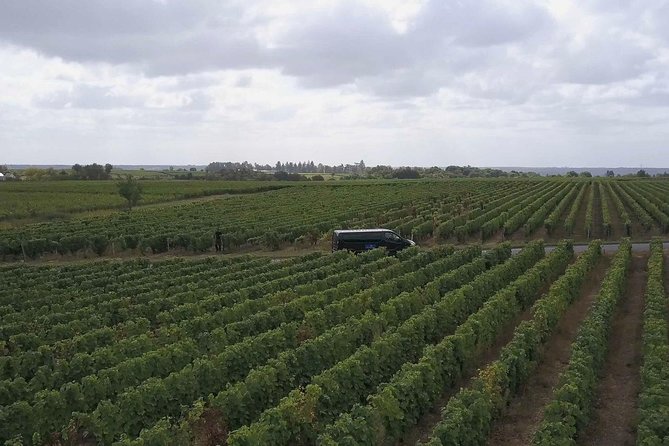 Loire Valley Half Day Wine Tour from Tours : 2 local wineries - Vouvray, family wine, and cool limestone caves
