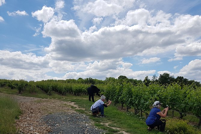 Loire Valley Half Day Wine Tour from Tours : 2 local wineries - Where the tour may disappoint you