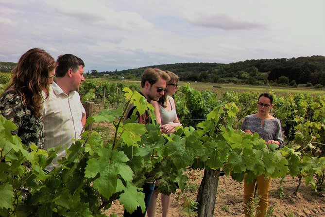 Loire Valley Half Day Wine Tour from Tours : 2 local wineries - The Amboise stop and AOC Touraine wines