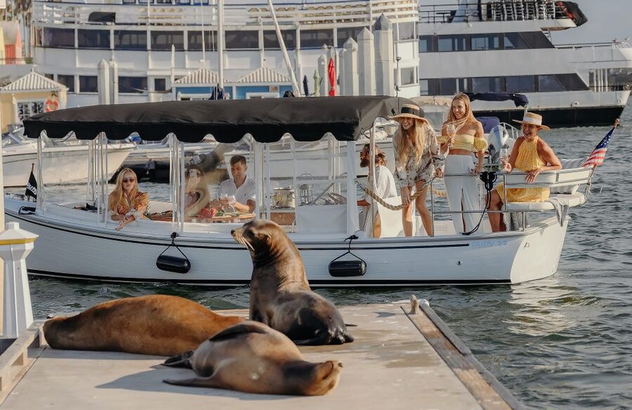 Los Angeles: Luxury Cruise with Wine, Cheese & Sea Lions - A quiet way to see Marina del Rey