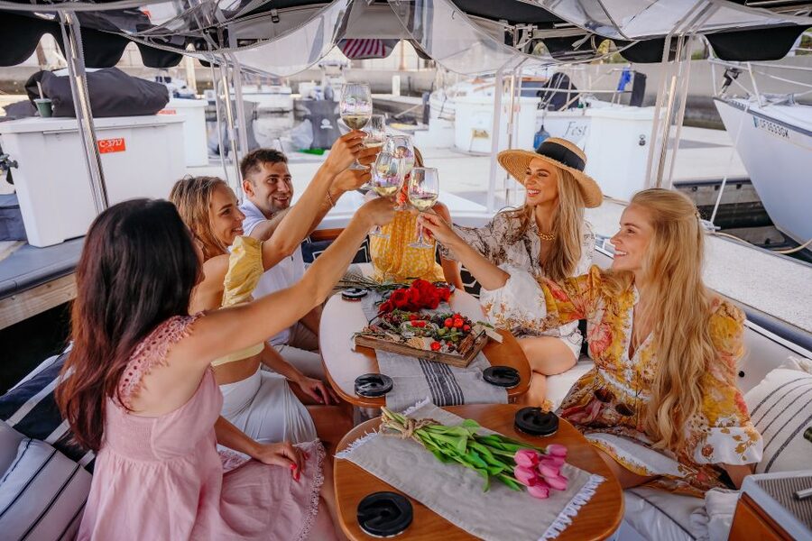 Los Angeles: Luxury Cruise with Wine, Cheese & Sea Lions - Sea lions, birds, and the pleasure of waiting