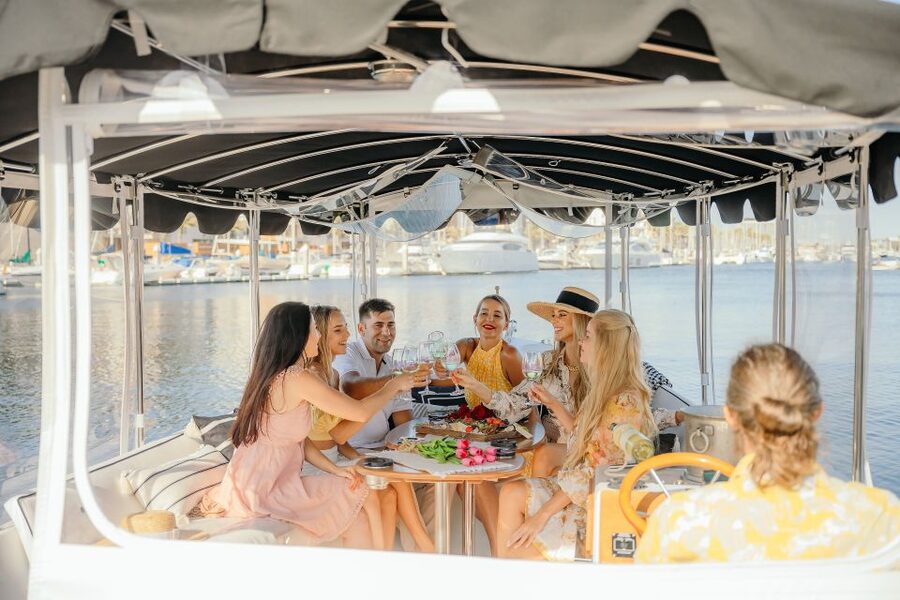Los Angeles: Luxury Cruise with Wine, Cheese & Sea Lions - What the two-hour route feels like