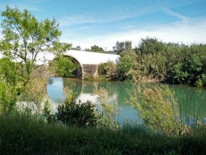 Loulé: Quinta da Tôr Winery Guided Tour and Wine Tasting - Practical booking advice