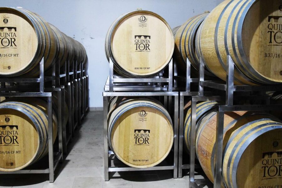 Loulé: Quinta da Tôr Winery Guided Tour and Wine Tasting - The 90-minute tasting and what you actually drink