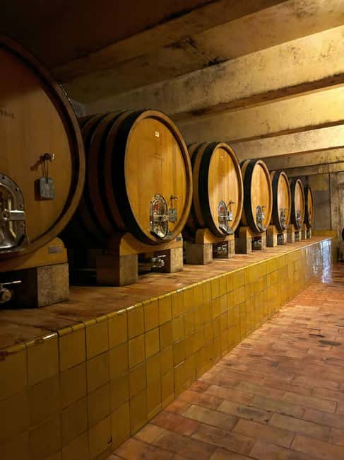 Luberon: Full-Day Wine Tour from Marseille - From Marseille to the south Luberon