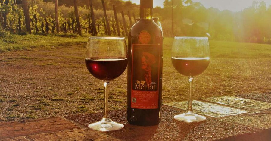 Lucca: Guided E-Bike and Wine Tour - At a glance