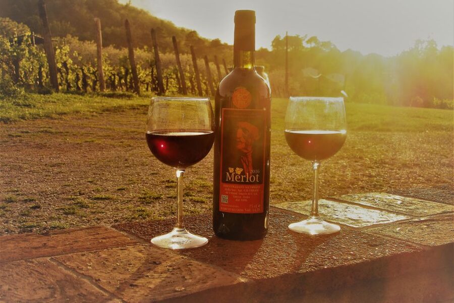 Lucca: Guided E-Bike and Wine Tour - Seeing Lucca from the historic walls