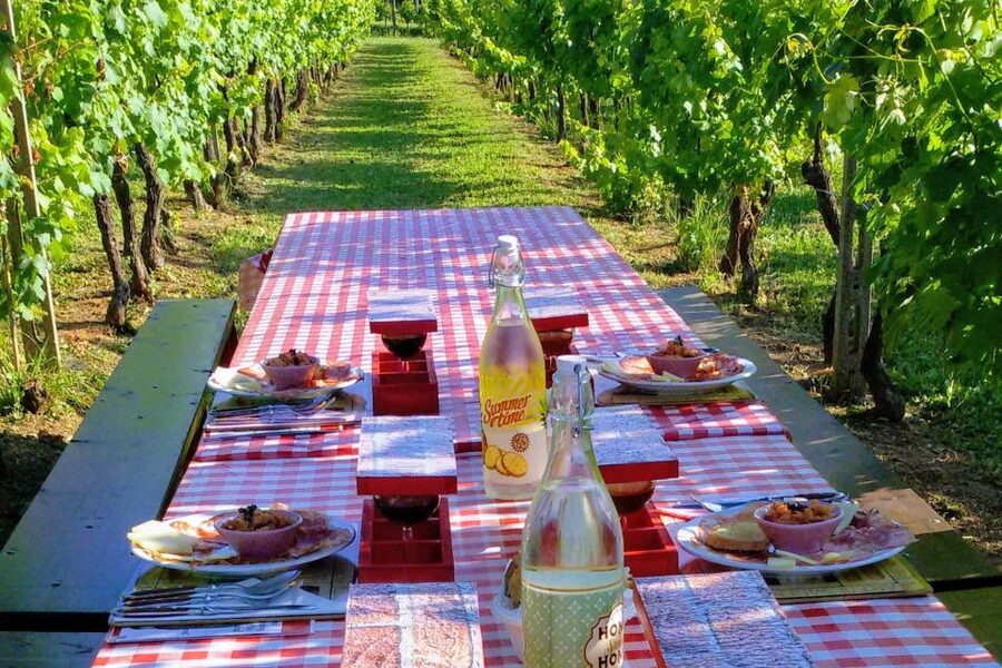 Lucca: Guided E-Bike and Wine Tour - The winery visit and cellar tour