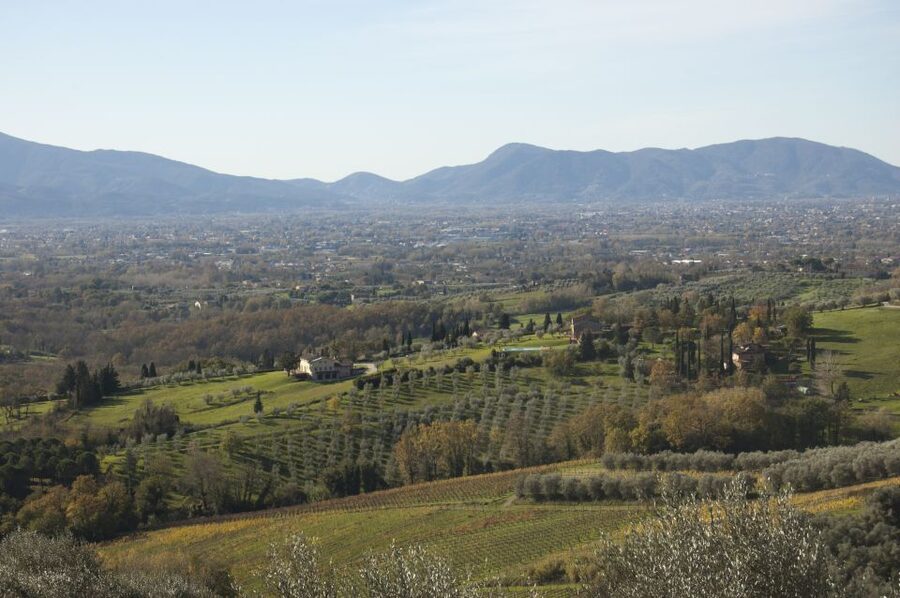 Lucca: Guided E-Bike and Wine Tour - The ride back and the 3.5-hour schedule