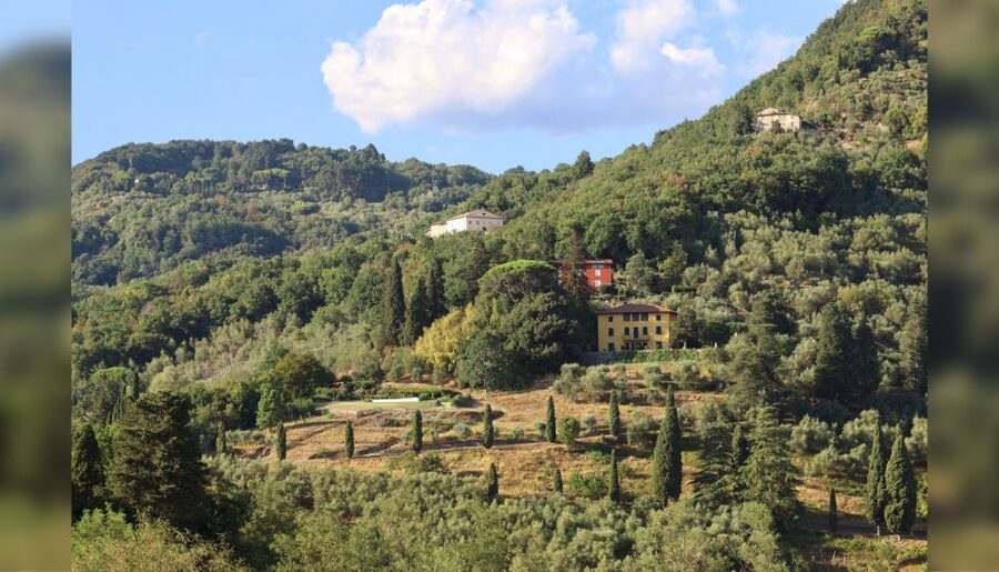 Lucca: Guided Winery Tour with Wine Tasting - Who should book this tasting?