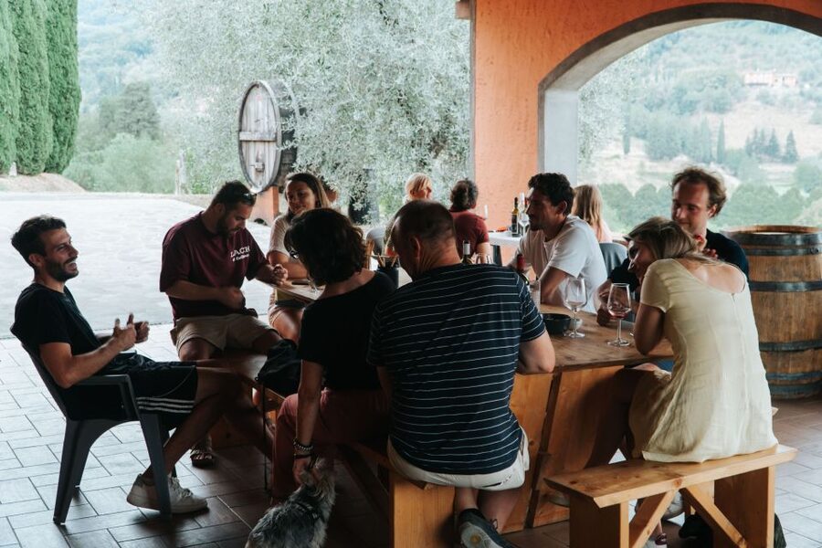 Lucca: Guided Winery Tour with Wine Tasting - Inside the cellar: a short but useful introduction