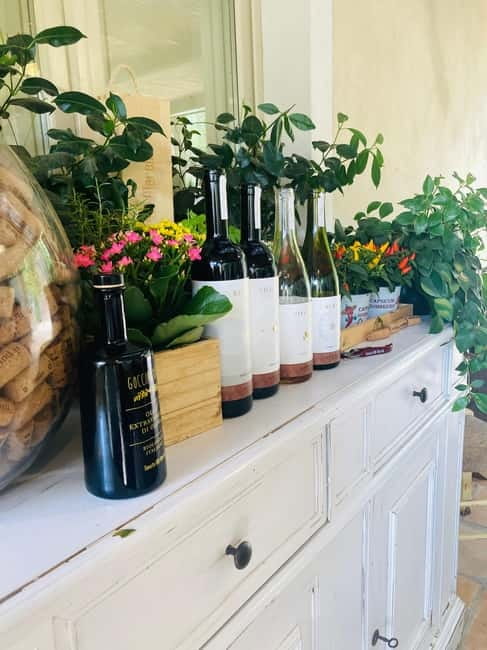 Lucca - Natural wine tasting at Tenuta Mareli - Four wines and the food served beside them