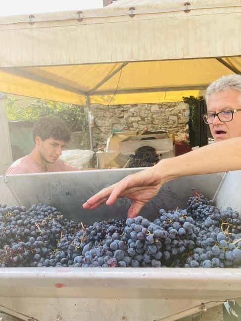 Lucca - Natural wine tasting at Tenuta Mareli - Who will enjoy Tenuta Mareli most