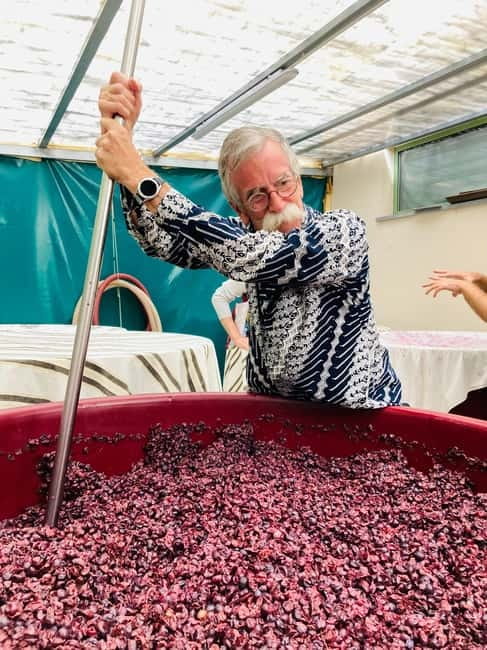 Lucca - Natural wine tasting at Tenuta Mareli - What the organic and biodynamic focus means
