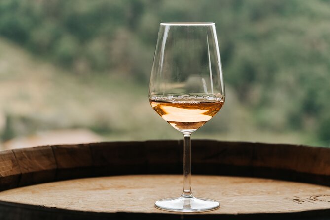 Lucca: Wine Tasting Experience - Tenuta Adamo Winery - How private is the tasting?
