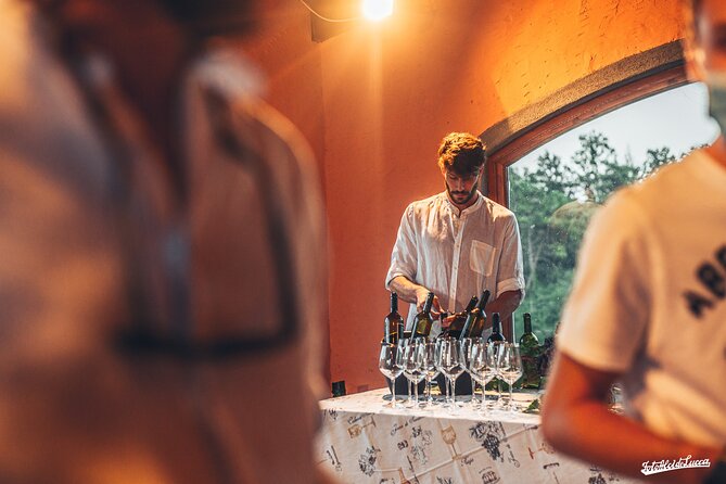 Lucca: Wine Tasting Experience - Tenuta Adamo Winery - Getting there from Lucca
