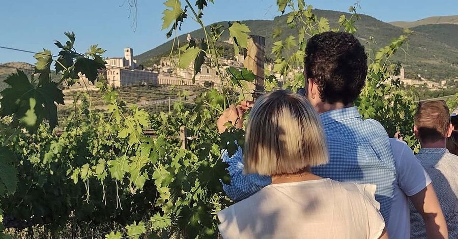 Lunch and tasting 5 wines + walk in the panoramic vineyards - Key points to know before booking