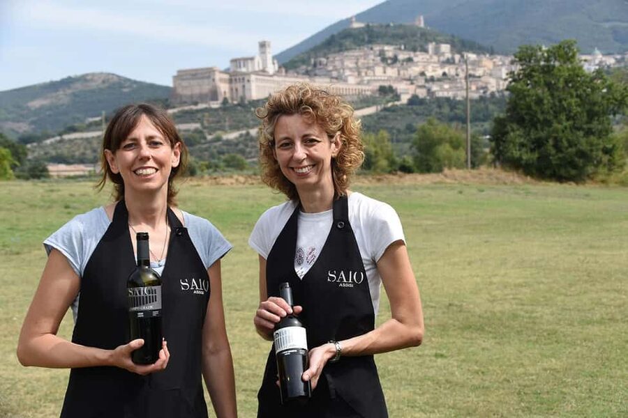 Lunch and tasting 5 wines + walk in the panoramic vineyards - A family winery beside Assisi’s famous basilica