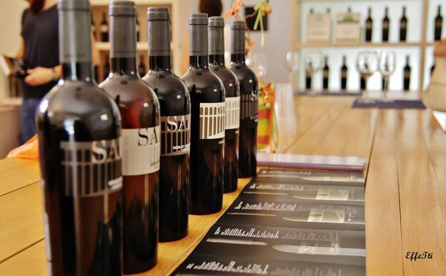 Lunch and tasting 5 wines + walk in the panoramic vineyards - How the timing works in practice
