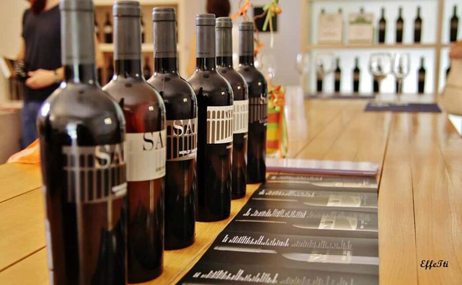 Lunch and tasting 5 wines + walk in the panoramic vineyards - What the five-wine tasting adds