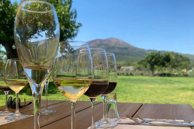 Lunch & Wine Tasting in the National Park of Mt Vesuvius - A vineyard lunch with Mount Vesuvius overhead