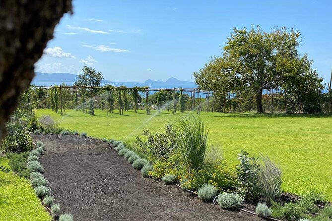Lunch & Wine Tasting in the National Park of Mt Vesuvius - The charcuterie board starts the meal