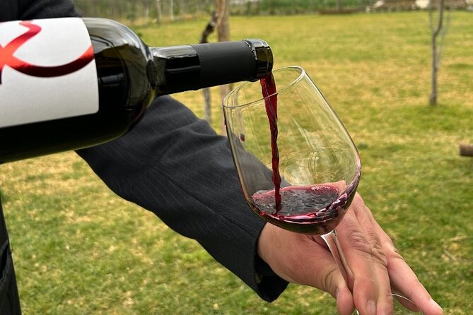 Lunch & Wine Tasting in the National Park of Mt Vesuvius - Price, group size, and value