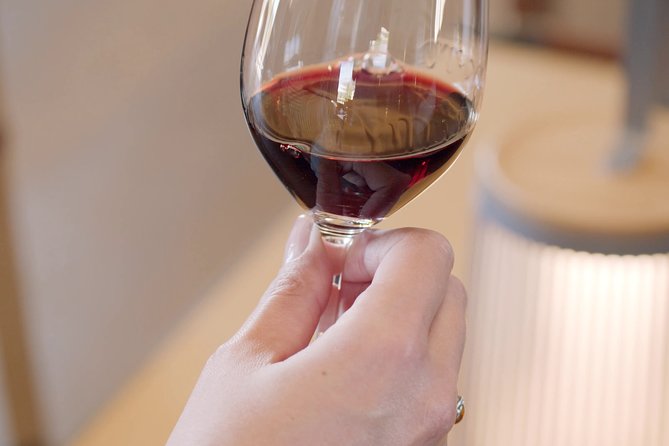 Luxurious full day Bordeaux wine tour in a Tesla - Médoc and Sauternes for a different wine focus