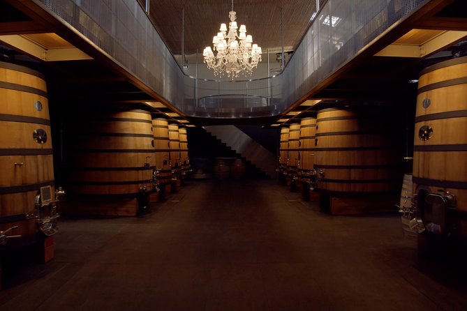 Luxurious full day Bordeaux wine tour in a Tesla - Lunch, tastings, and the real cost of the day