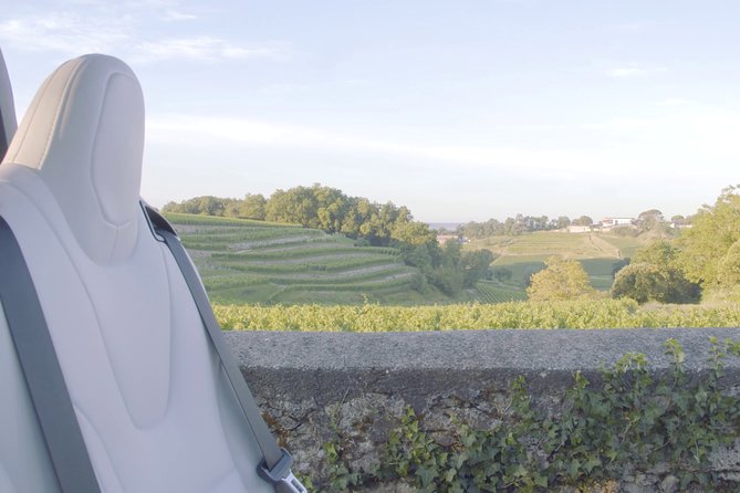 Luxurious full day Bordeaux wine tour in a Tesla - What the guide adds to each château stop