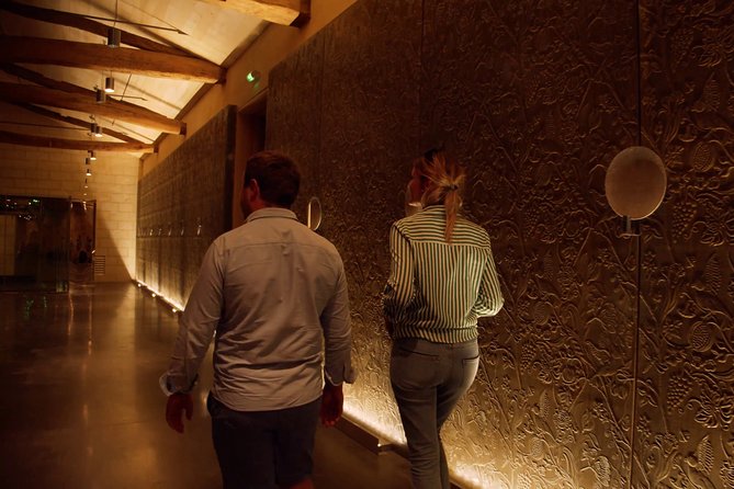Luxurious full day Bordeaux wine tour in a Tesla - Comfort, pace, and the limits of a full day