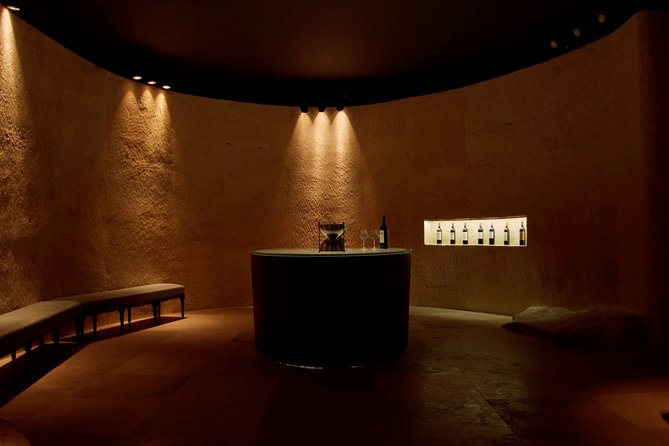 Luxurious full day Bordeaux wine tour in a Tesla - Booking, timing, and cancellation details