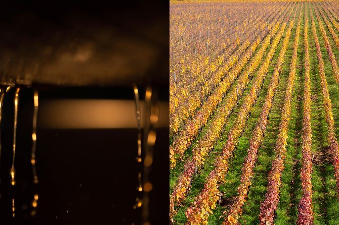 Luxury Luxury Wine Tour Experience - Local specialties and a taste of Burgundy beyond wine