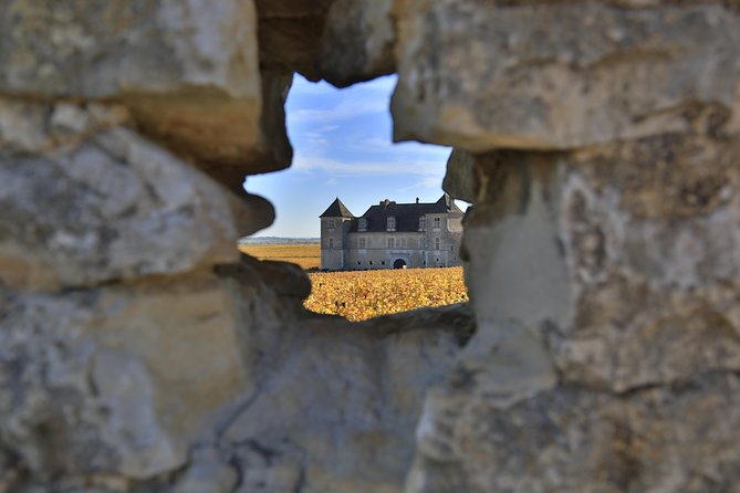 Luxury Luxury Wine Tour Experience - Reading Burgundy through its vineyards