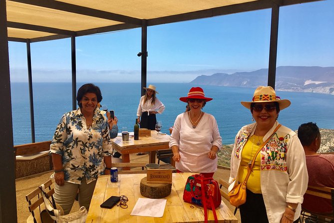 Luxury Private Wine Tasting Tour to Guadalupe Valley from San Diego - Who will enjoy this Baja wine day most?