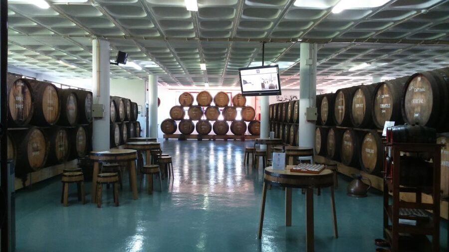 Madeira: Cabo Girao, Jeep Tour Adventure and Wine Tasting - Cabo Girão and the glass platform