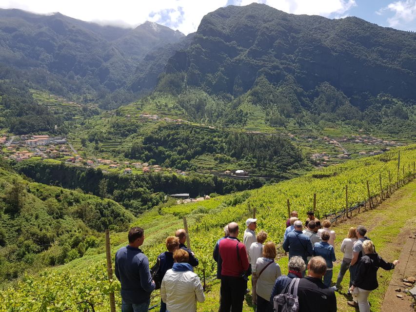 Madeira: Cabo Girão, Wines Experience and Dolphins Watching - A three-hour catamaran search for dolphins and whales