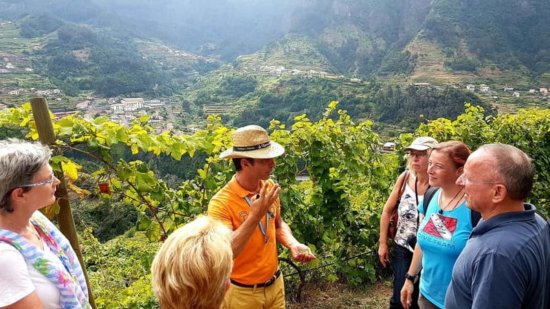 Madeira: Cabo Girão, Wines Experience and Dolphins Watching - My verdict on the cliff, wine, and catamaran day