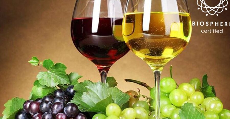 Madeira: Signature Wine Tasting, Skywalk & Nature Expedition - Encumeada and the rougher road to São Vicente
