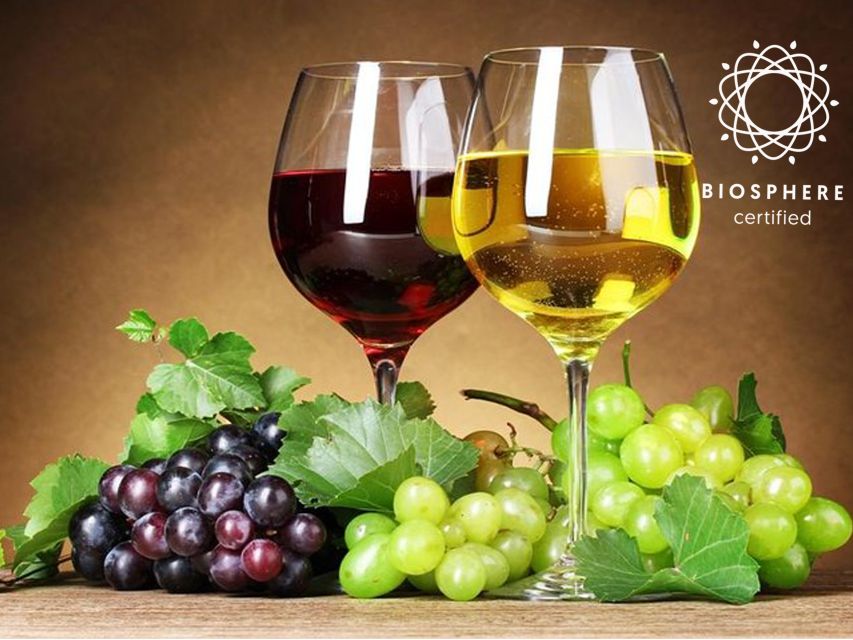 Madeira: Signature Wine Tasting, Skywalk & Nature Expedition - Lunch and free time in São Vicente
