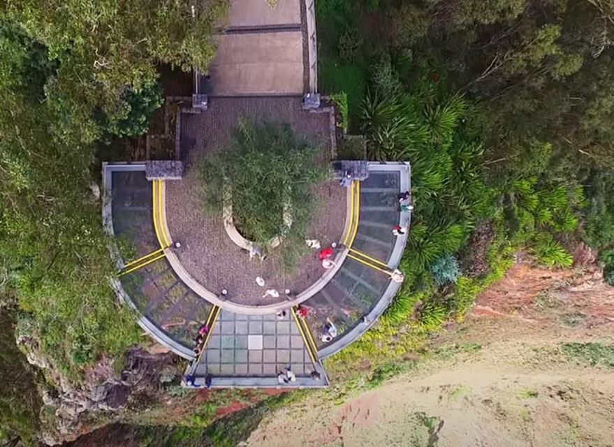Madeira: Vineyard Tour w/ Wine Tasting & Skywalk - What you will learn about Madeira wine