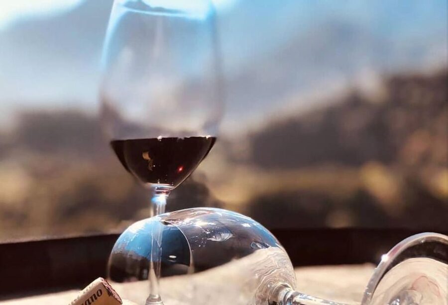 Madeira: Vineyard Tour w/ Wine Tasting & Skywalk - Is the $86 price fair?