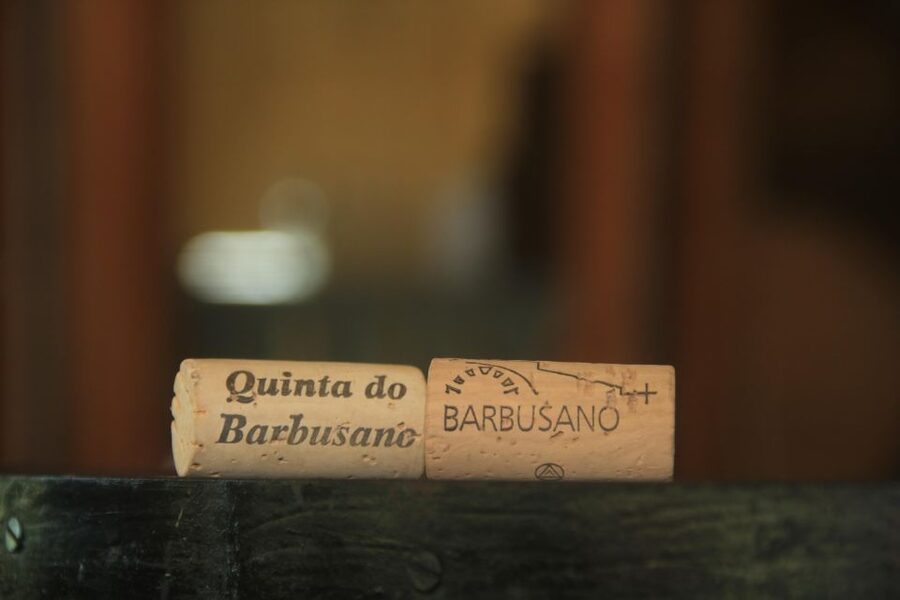 Madeira: Wine & Tapas, Cabo Girão Skywalk 4x4 Jeep Adventure - São Vicente, one of the day’s calmer stops